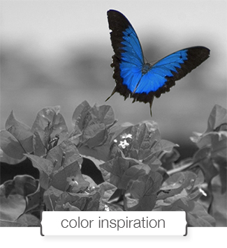 Color Inspiration